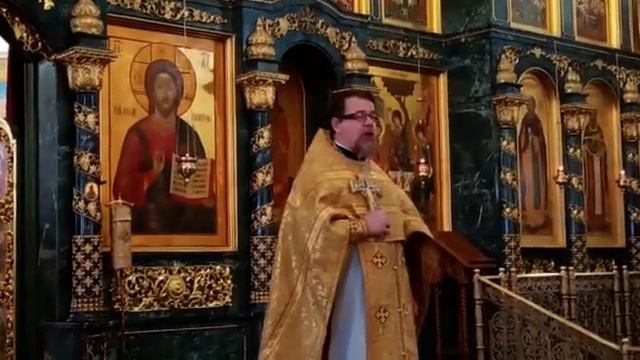 Проповедь иерея Константина Корепанова на Литургии в Свято-Троицком соборе (29.10.2020) смотреть онлайн