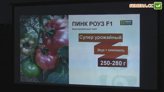 Пінк роуз F1 томат (Yuksel) семінар 29.11.2016 смотреть онлайн