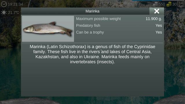 Sockeye Salmon and Brook Trout | Love it! | My Fishing World смотреть онлайн