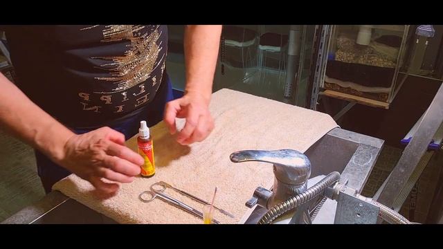 РЕЗКА ПЛАВНИКОВ У РЫБ, АКВАРИУМИСТЫ РОССИИ смотреть онлайн