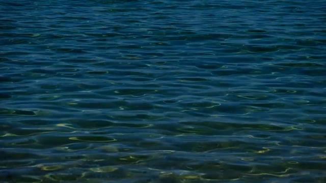 Whales Soundscapes music | Whale Sounds for Sleep, Music for Meditation смотреть онлайн