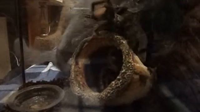 My Edited Video смотреть онлайн