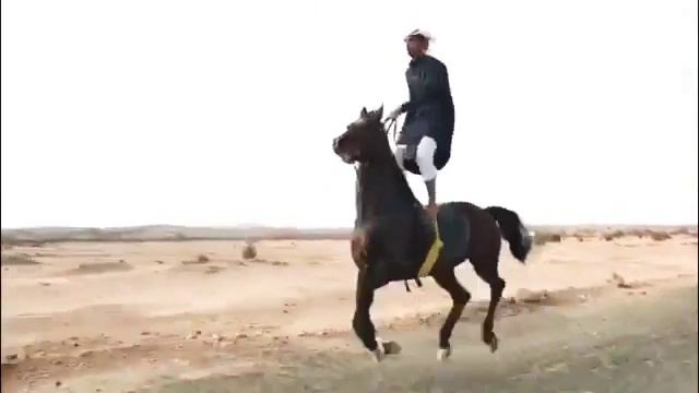 АРАБСКАЯ ЛОШАДЬ 👉👍 смотреть онлайн