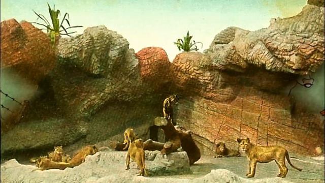 Animal Sounds HA Rey 1946 смотреть онлайн