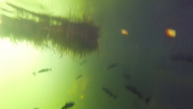 TOP 20 CANCUN Attractions And Things To Do - MUST SEE If You're Going To Cancun