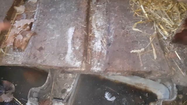 Самые Дешевые и Простые загоны для Свиней или КРС В ДЕРЕВНЕ смотреть онлайн