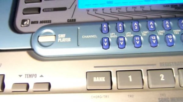 Casio WK-3000 76 key Portable Electronic Keyboard