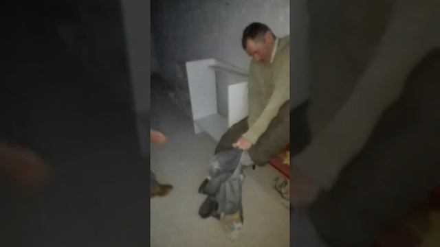 Вот так надо снимать штаны смотреть онлайн