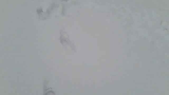 Зима , снег , ждём весны! Оренбург, СНТ "Сокол". смотреть онлайн