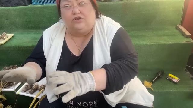 хранение калл зимой. прогулка по саду смотреть онлайн