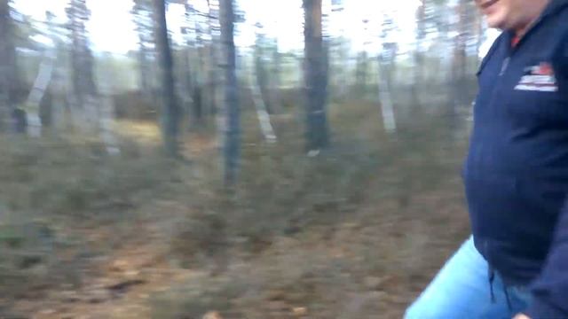 Екатеринбург - Изоплит. Шарташское болото. Багульник. смотреть онлайн