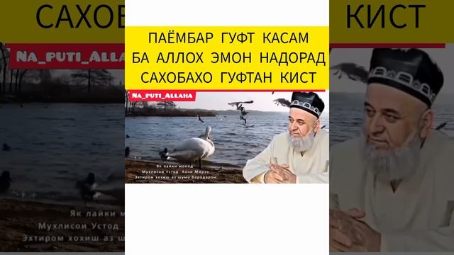 ИН ЧИГУНА ХАМСОЯГИ смотреть онлайн