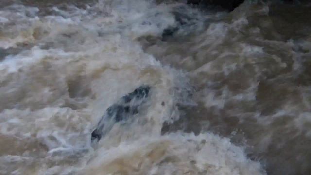Panasonic Lumix FZ150 1080 High Definition raw video.Water. смотреть онлайн