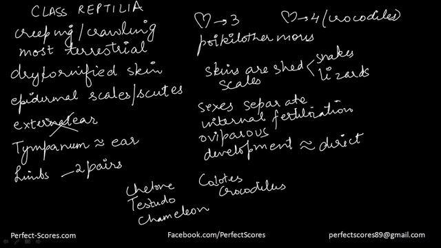 Biology - Kingdom Animalia - P Chordata - Part 2 - (SAT Biology) смотреть онлайн