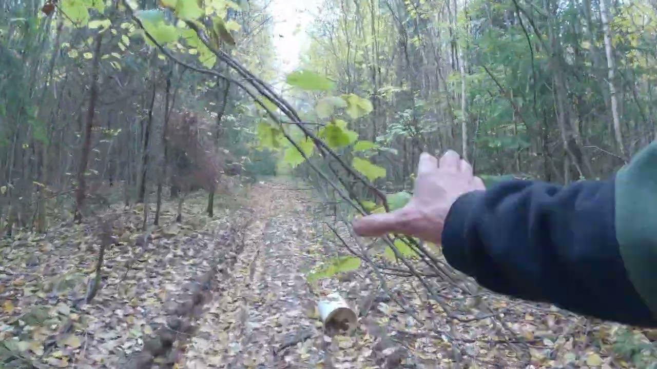 7.10.2022_10 смотреть онлайн