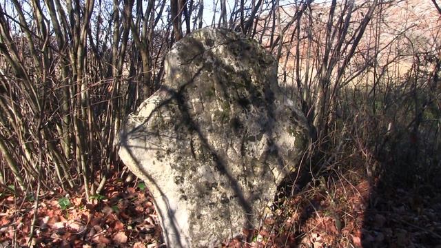 САРА КОЛАК КОЛИЈЕВКА смотреть онлайн
