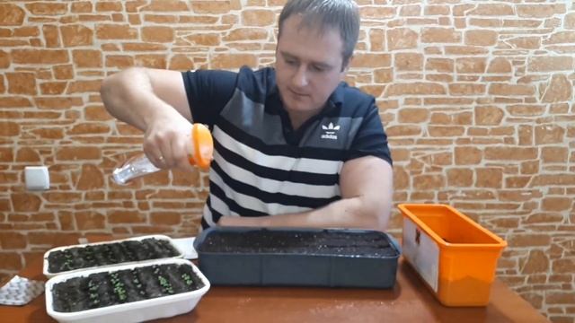 Посев ВИОЛЫ ("Анютины глазки ") смотреть онлайн