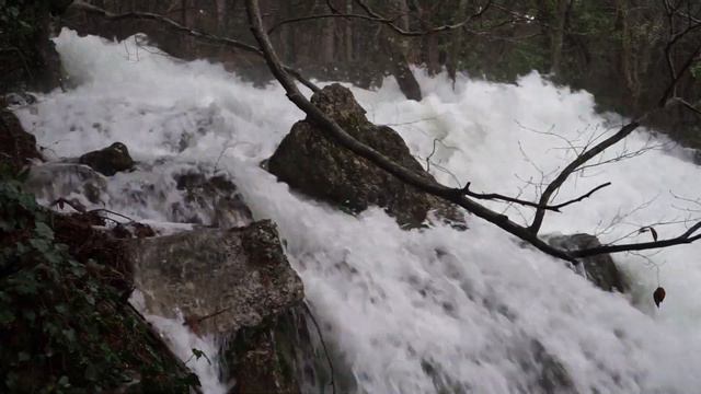 Хаста Баш short смотреть онлайн