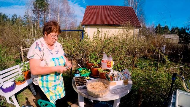 Сажаем огурцы. Часть 1. Сажаем огурцы на рассаду в торфяные горшочки. смотреть онлайн