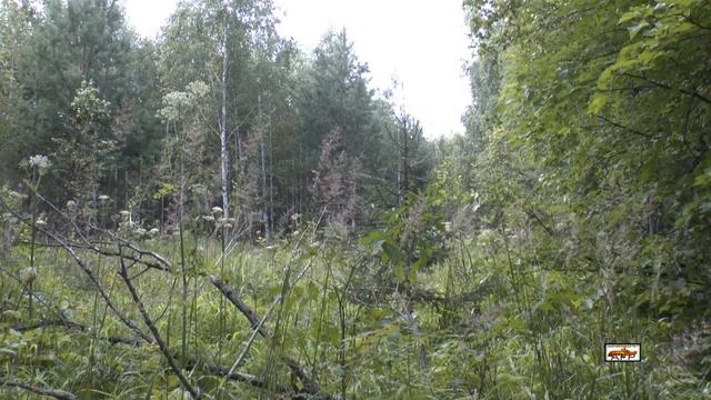 Река Большая Чёрная и её притоки 1 ч 2015 г смотреть онлайн