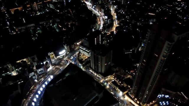Roppongi Hills Mori Tower 52F Tokyo City View - 2014.12.25