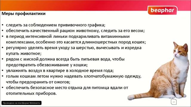 Перхоть смотреть онлайн