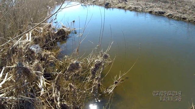 Рыбалка 2019. Открытие сезона. Ловля щуки весной. Отчет о рыбалке смотреть онлайн