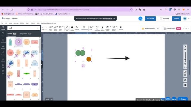 Biorender, illustration, sharing and exporting смотреть онлайн