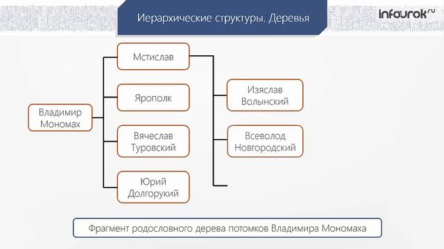 Структуры данных деревья, сети, графы, таблицы | Информатика 10-11 класс #12 | Инфоурок смотреть онлайн