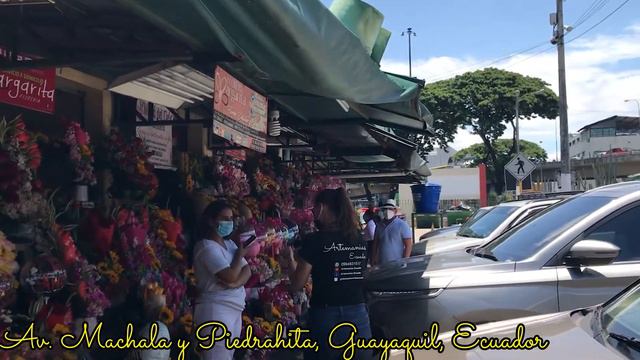 VISITAMOS NUESTRO MERCADO DE FLORES EN GUAYAQUIL. Preguntale a la Vero! смотреть онлайн