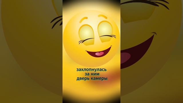 Мечта прокурора. #shorts смотреть онлайн