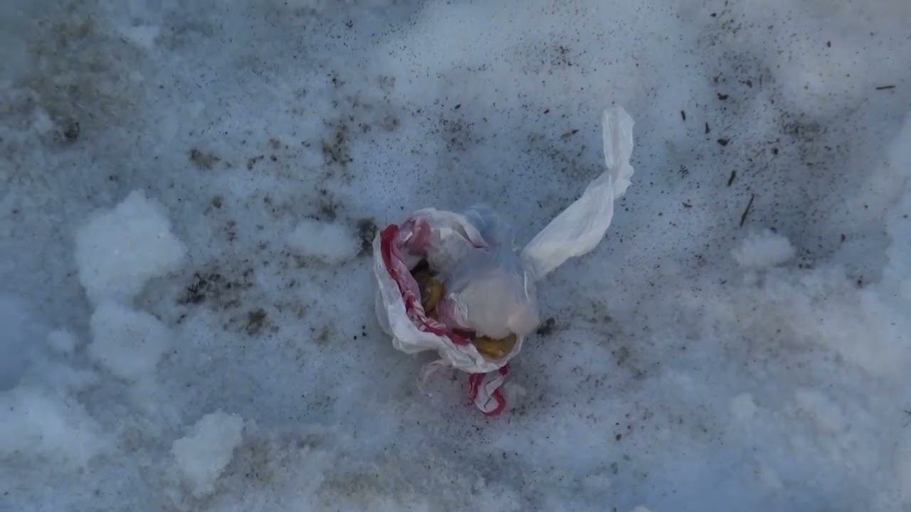 В Тобольске оперативники задержали иностранного гражданина, пытавшегося сбыть наркотики смотреть онлайн