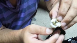 Включаю свет тухнут габариты