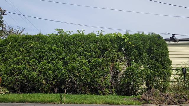 C129 V2 RC Helicopter 🚁