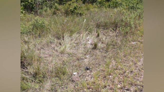 Body of Victor Hugo Pratt found on shoulder of Philip Goldson Highway смотреть онлайн