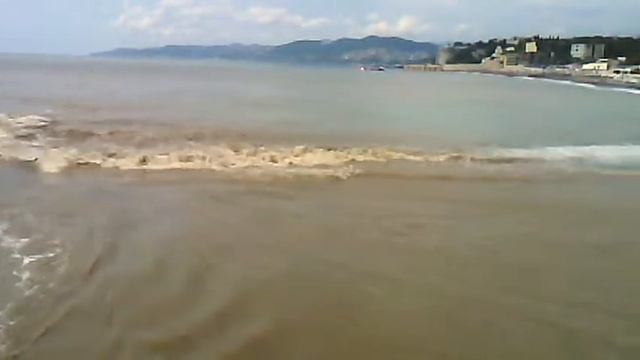 река Сочи или грязный город смотреть онлайн