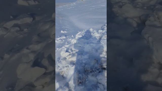 Родник Кызыл басту.Чарск ВКО. смотреть онлайн