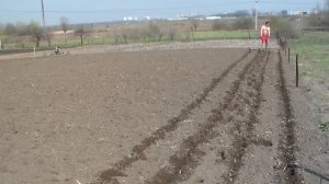 Маркер под картофельные ряды