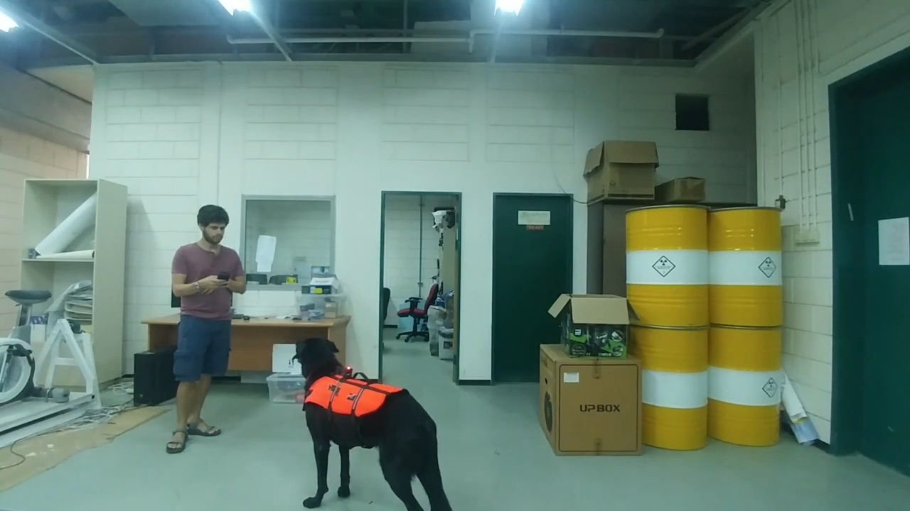 Вибропульт для управления собакой смотреть онлайн