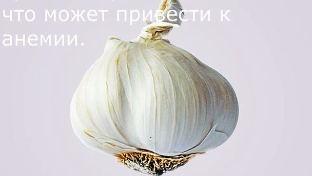 17 токсичных для собак продуктов, о которых нам стоит знать смотреть онлайн