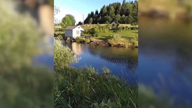 Великолепный карельский хутор на продажу (пос. Микли) с выходом на Ладогу! смотреть онлайн
