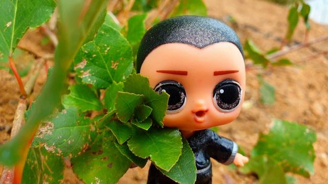 Куклы ЛОЛ сюрприз  мультики IKira