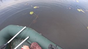 ВОТ ЭТО ПОВЕЗЛО, ЛОВЛЯ ЩУКИ НА КРУЖКИ ПОЗДНЕЙ ОСЕНЬЮ, ЛУЧШАЯ ОСНАСТКА!