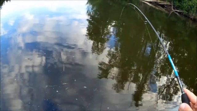 Воблер который сделал всю рыбалку. Maria MC-1 Crank 38 SSR. Открытие лодочного сезона. смотреть онлайн