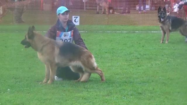 Negus Karil`s Chastushka смотреть онлайн