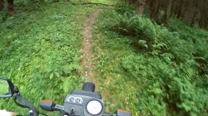Поездка на мотоцикле Минск в лес по грязи. OFFROAD