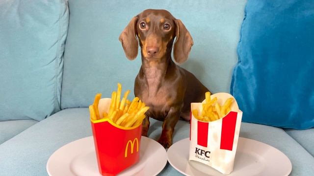 ЧАПИ ВЫБИРАЕТ МАК ИЛИ КФС II Чапи выби смотреть онлайн