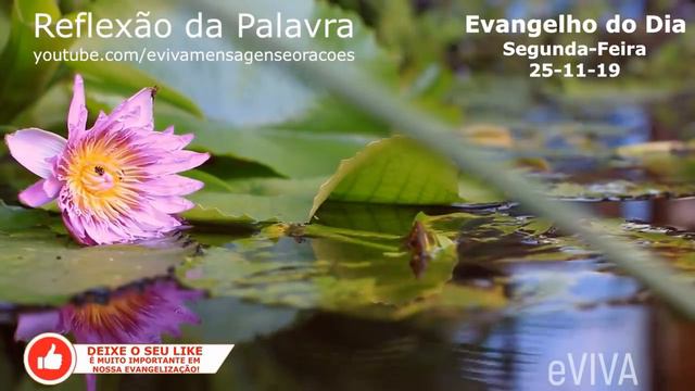 EVANGELHO DO DIA 25/11/2019 Narrado e Comentado - LITURGIA DIÁRIA - HOMILIA DIARIA HOJE смотреть онлайн