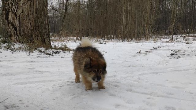 Окрестности Смоленска смотреть онлайн