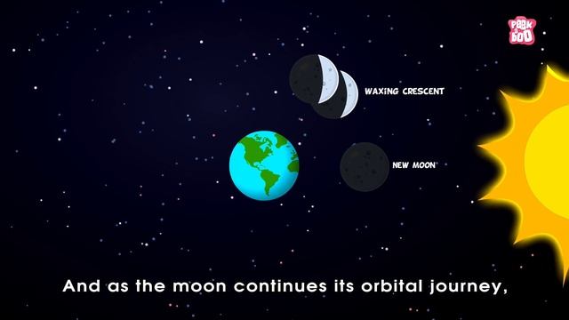 Phases Of The Moon | Why Does The Moon Change Its Shape? | Space | Dr Binocs Show | Peekaboo Kidz